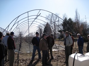 SSCD system in tunnels with cherries
